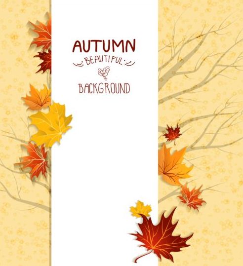 カエデの葉と秋のカードベクター 葉 秋 メープル カード   
