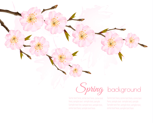 Fond de printemps avec le vecteur de Sakura rose sakura rose printemps fond   