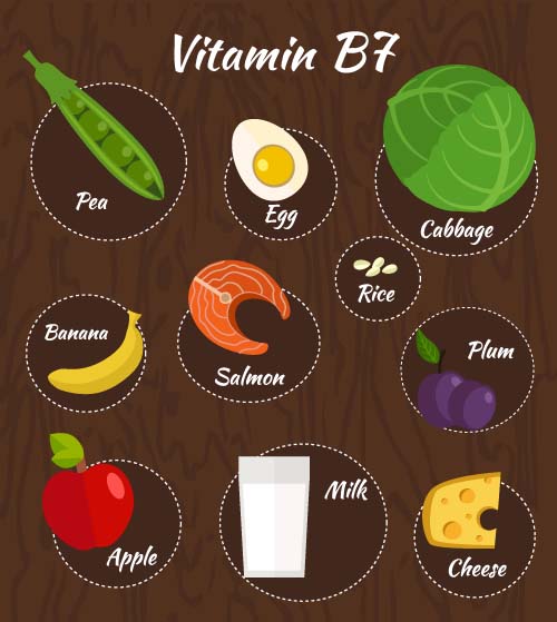 ビタミン健康的な食事ベクター材料07 健康 ビタミン ダイエット   