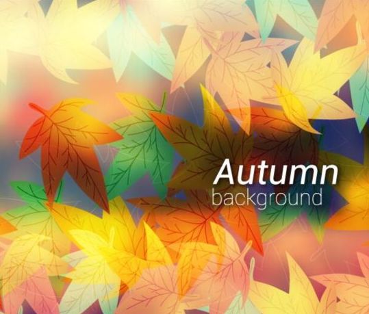 Farbige Herbstblätter mit verschwommenem Hintergrundvektor 03 verschwommen Hintergrund Herbst gefärbt Blätter   