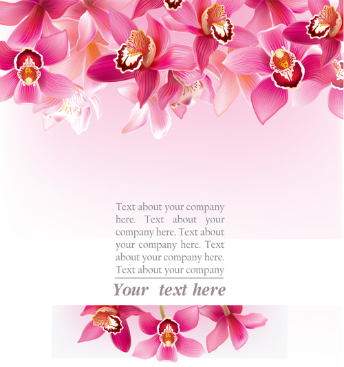 Elegante Orchideen vector Hintergrund Kunst 01 Orchideen Hintergrund elegant   