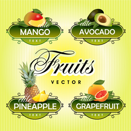 Fruit avec des étiquettes de légumes de conception ensemble 05 légumes fruits étiquettes   