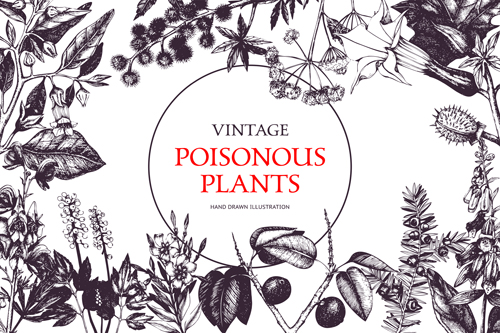 Plantes toxiques AVERTISSEMENT affiche Vintage vecteur 03 vintage toxique plantes avertissement affiche   