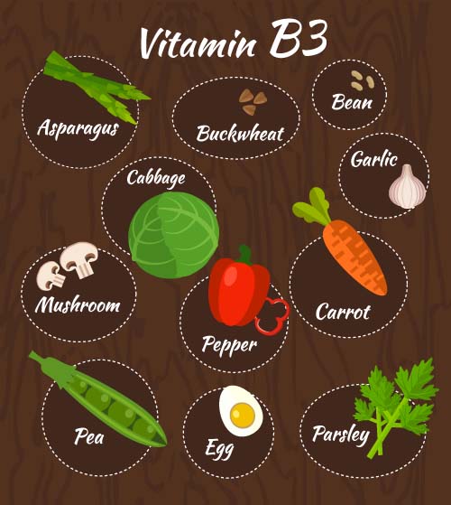 Vitamin mit gesunder Ernährung Vektormaterial 06 vitamin gesund Diät   