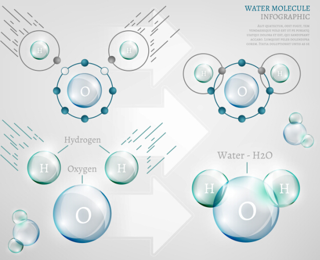 L’eau molécule infographies vecteurs créatifs ensemble 09 molecule infographies eau   