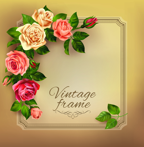 Belles roses avec des cartes Vintage vecteur matériel 03 vintage roses matériel cartes belles   