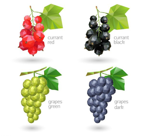 Vecteur de cassis et de raisins de formes géométriques raisins géométrique formes géométriques formes forme géométrique   