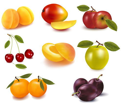 Graphismes de fruits réalistes vecteur matériel 02 réaliste matériau vectoriel icônes icône fruits   