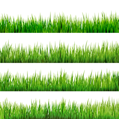 Vecteur de conception réaliste de bordures d’herbe 02 réaliste herbe bordures   