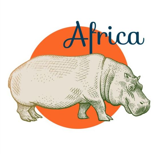 Vecteur d’hippopotame d’Afrique hippopotame Afrique   