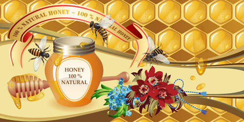 Affiche créative de miel naturel Vecor 03 naturel miel Créatif affiche   