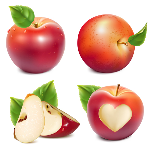 Glänzend roter Äpfel Vektordesign rot glänzend Apfel   