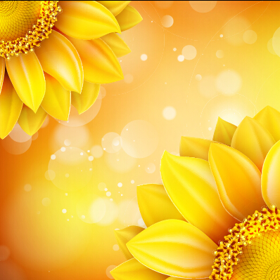Beaux tournesols fond doré ensemble vecteur 10 tournesol fond fleurs Doré beau   