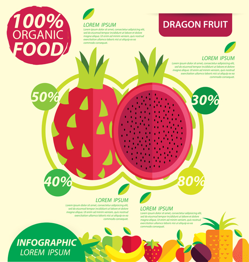 Flachfrüchte Infografie-Vektoren Vorlage 06 Wohnung schablone Obst Infografik   