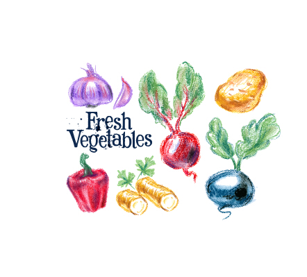 Légumes frais dessinés à la main de couleur vecteur 01 légumes frais dessiné à la main coloré   