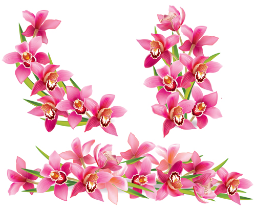 Rosa Orchideen entwerfen Vektor 02 pink Orchideen   