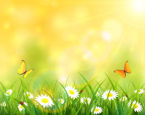 Sonniger Hintergrund mit Gras und Blumen Vektordesign Sonne Gras Blumen   