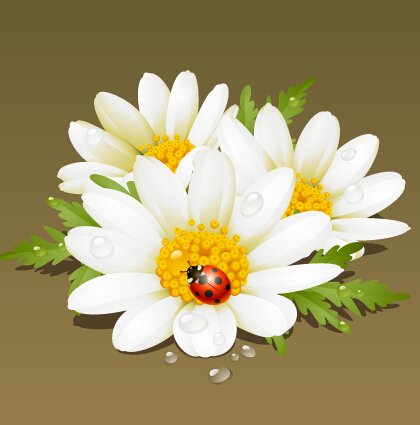 Weiße Blumen-und Marienkäfer-Vektormaterialien weiß Marienkäfer Blume   
