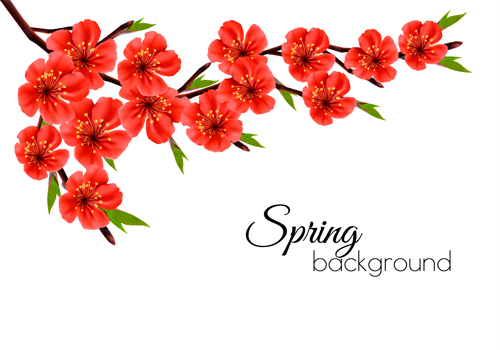 Belles fleurs rouges printemps vecteurs fond printemps fond fleurs beau   