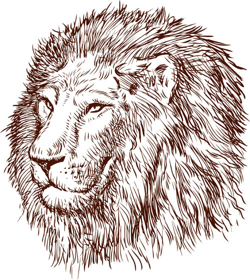 Main dessin Lion vecteur matériel 01 lion Dessin à la main   