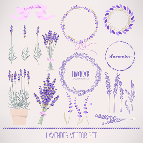 Lavander Kranz mit Blumenvektor Strauß Lavendel Kranz   