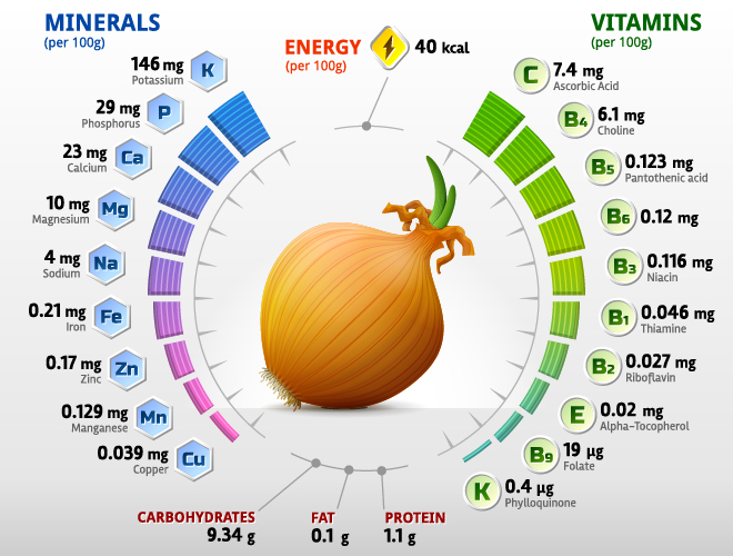 Zwiebelvitamine Infografiekremie Zwiebeln Vitamine Infografik   