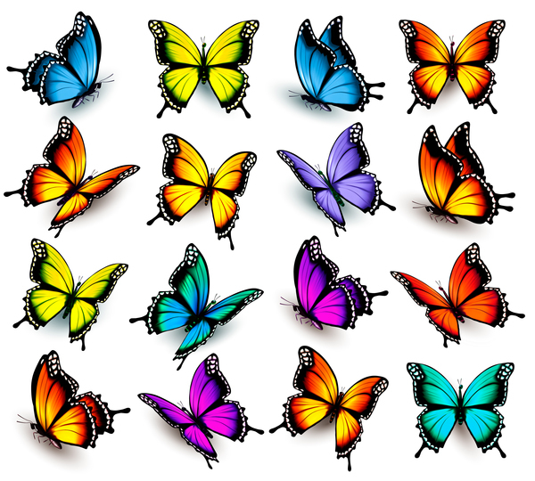 カラフルな蝶のセットベクトル材料01 蝶 カラフルな   