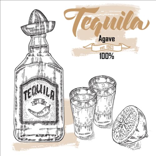 Tequila avec bouteille et verres dessinés à la main vecteur 02 Tequila main Lunettes dessiné bouteille   