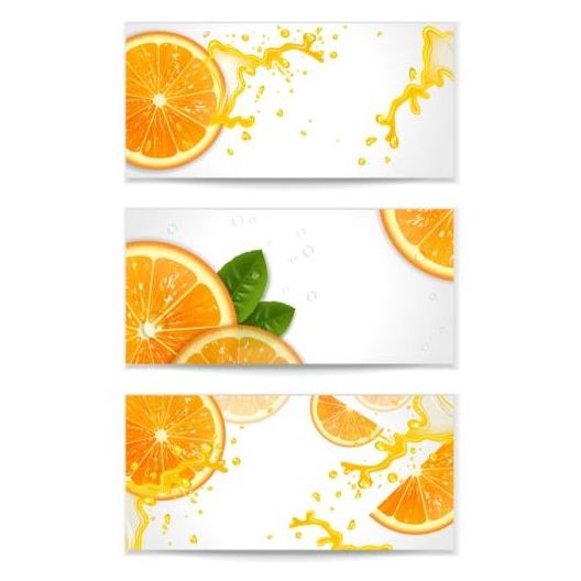 Bannières vectorielles avec le matériel d’oranges oranges bannières   