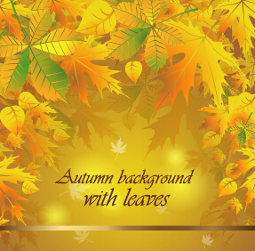 Herbstlicher Hintergrund mit Blättervektormaterial Vektormaterial material Herbsthintergrund Blätter   