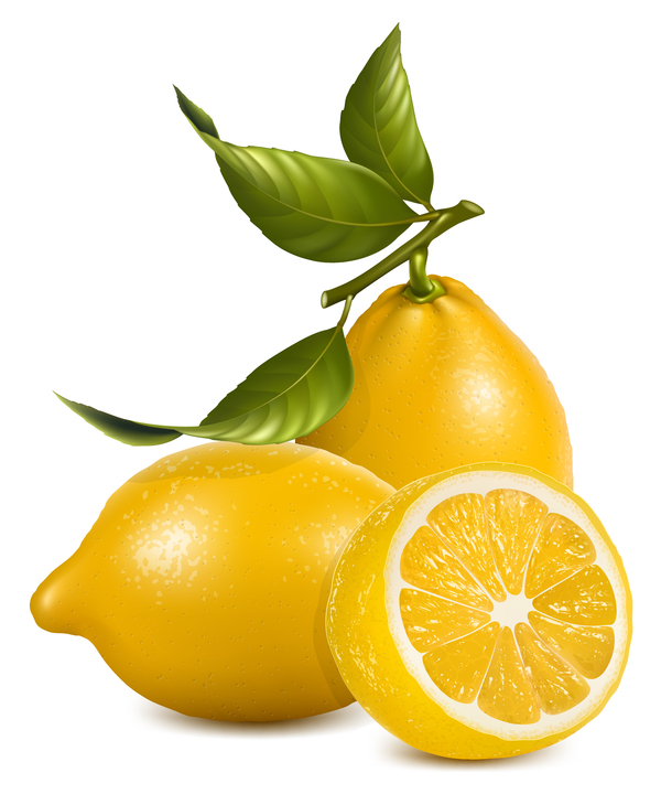 Frische Zitronenvektorabbildung 01 lemon fresh   