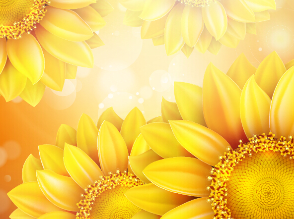 Sonnenblume mit bokeh Vektorhintergrund 13 Sonnenblume Hintergrund bokeh Blume   