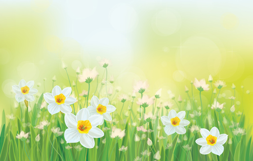 Fleurs blanches printemps beau vecteur de fond printemps fond fleurs blanches fleurs beau   