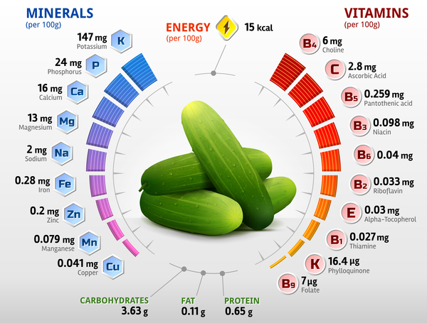 Gurken-Vitaminen Infografiekrecher Vitamine Infografik Gurke   