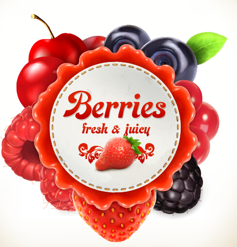 Beries Etikettenvektor label Beeren   