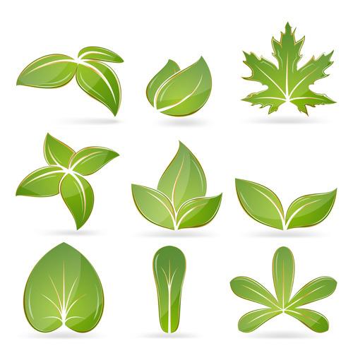 異なる緑の葉ベクトルセット02 葉 緑 異なる   