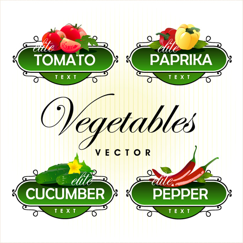 Fruit avec des étiquettes de légumes de conception ensemble 01 légumes fruits étiquettes   