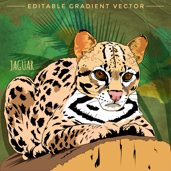 Jaguar handgezeichneter Vektor jaguar hand gezeichnet   