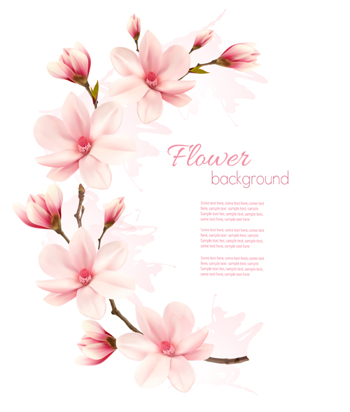 Rosa Magnolienblumenvektorhintergrund pink magnolia Blumen   