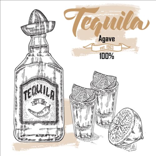 Tequila avec bouteille et verres dessinés à la main vecteur 01 Tequila main Lunettes dessiné bouteille   